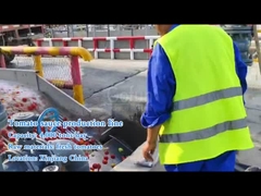 টমেটো সস উৎপাদনের জন্য কোন যন্ত্রপাতি প্রয়োজন?