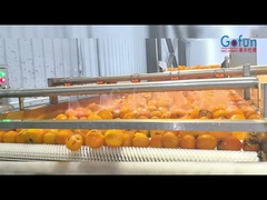 শিল্প NFC রস প্রক্রিয়াকরণ উত্পাদন লাইন, পরিষ্কার, juicing, নির্বীজন একটি সম্পূর্ণ সেট