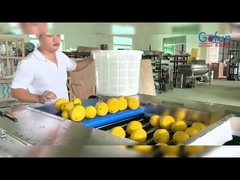 রোলার সোর্টিং মেশিন