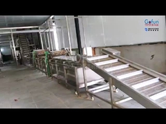 গ্রীষ্মমন্ডলীয় ফলের প্রক্রিয়াকরণ সরঞ্জামঃ মল + রস + শুকনো ফল তিন-এক