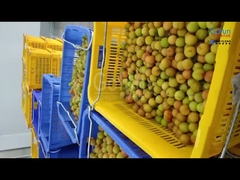 চীনা কোম্পানিগুলির জন্য কাস্টমাইজড প্রতি ঘণ্টায় ৫ টন উৎপাদন ক্ষমতা সম্পন্ন প্লুম পল্প প্রক্রিয়াকরণ লাইন