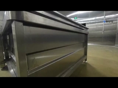 স্বয়ংক্রিয় ফল ও সবজি পরিষ্কার করার যন্ত্র ফল ও সবজি পরিষ্কার করার লাইনের সম্পূর্ণ সেট