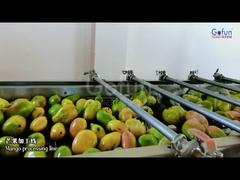 প্রিমিয়াম আমের রস উৎপাদন লাইন